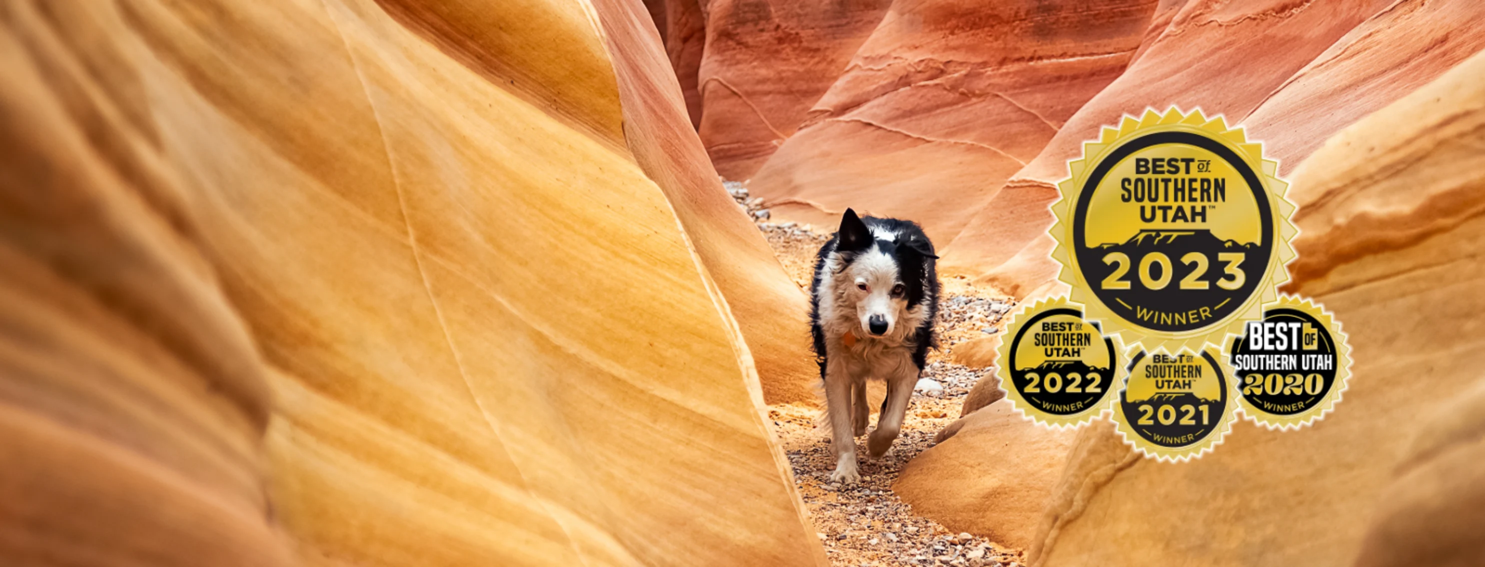 Dog walking through a narrow slot canyon with the Best Vet in Southern Utah Award icon on the right